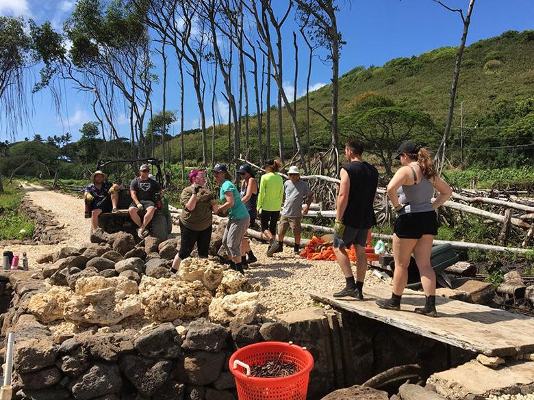 Students and faculty conduct research in Hawaii